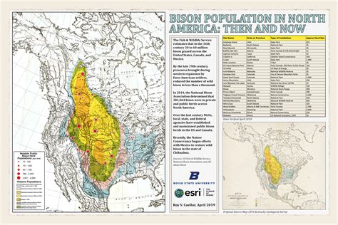 population of american bison today.